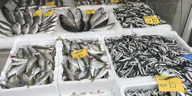 Tezgahların Zam Şampiyonu Çinekop Oldu