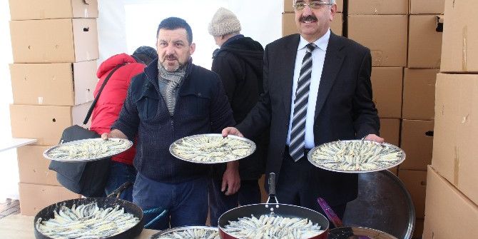 Bedava Hamsi İzdihamı