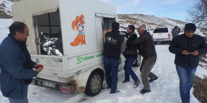 Yaban Hayatı Yemleme Çalışması Yapıldı