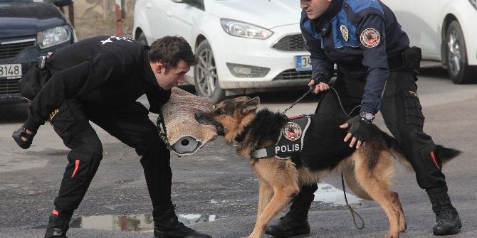 Suçluların Korkulu Rüyası "Leon"