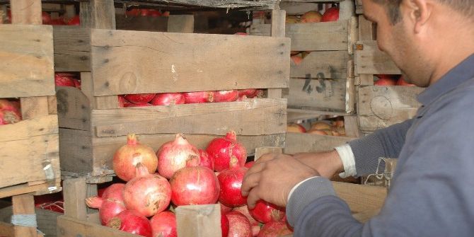 Zivzik Narına Talep Arttı