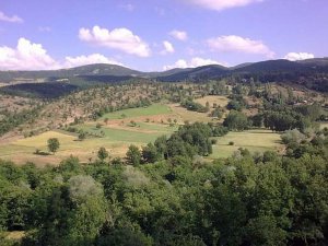 Ordu Hatipli Köyü