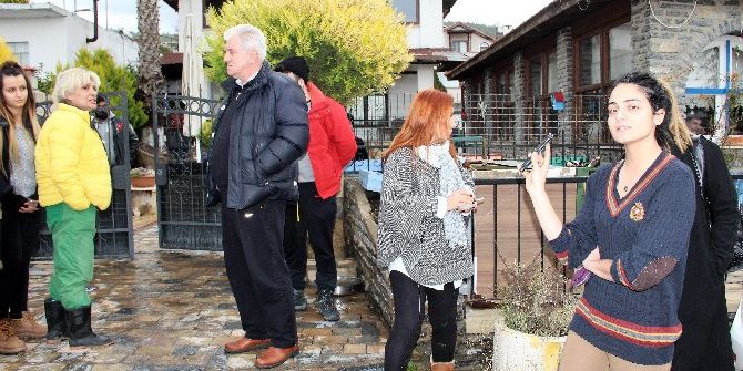 Sahipleri Ölen Köpekler Paylaşılamıyor