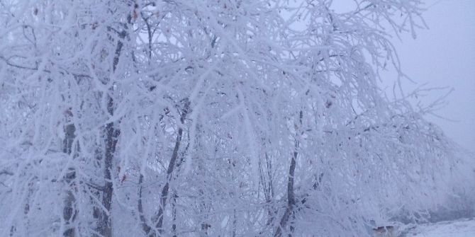 Iğdır-erzurum Karayolunda Yoğun Sis