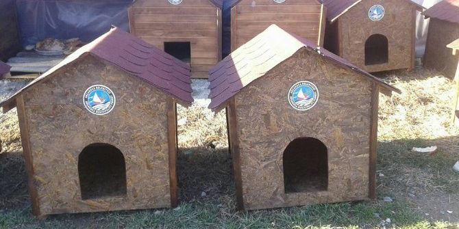 Sokak Hayvanlarına Belediye Desteği