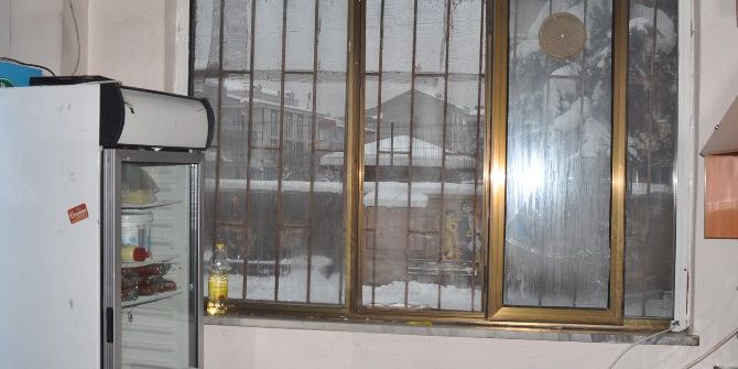 Özel Ekiple Yakalanan Kantin Fareleri Serbest Bırakıldı