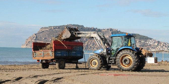 Altid Sahilleri Temizledi