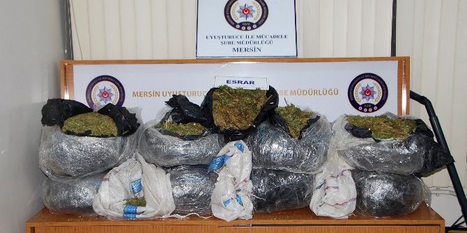 Mersin Polisi, 191 Kilogram Esrar Ele Geçirdi