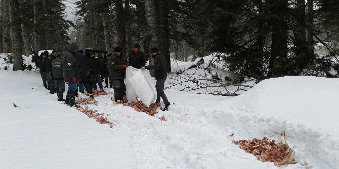Off-roadçılar Yaban Hayvanlarını Yemledi