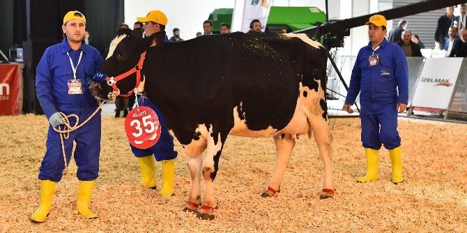 Agroexpo, Ziyaretçilerine Dolu Bir Etkinlik Hazırladı