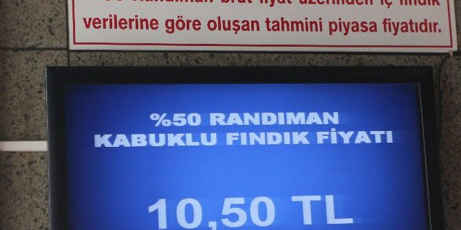 Fındık 1,5 Ay Sonra 25 Kuruş Arttı