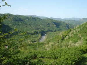Ordu Güzelyalı Köyü