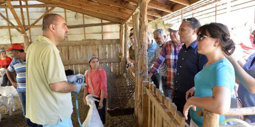 Gagavuz Heyet, Tarım İncelemesinde