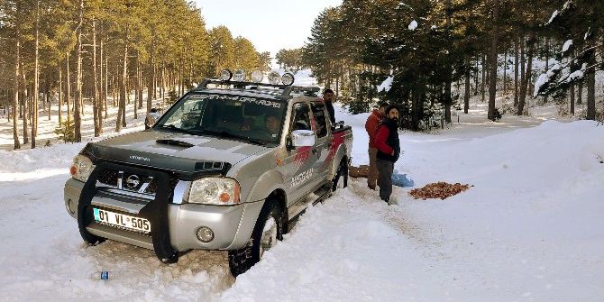 Off-road Üyelerinden Sokak Hayvanlarına Yem
