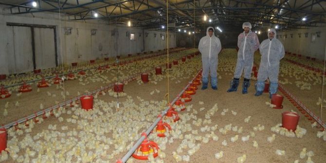 Kanatlı Sektörü Can Çekişiyor