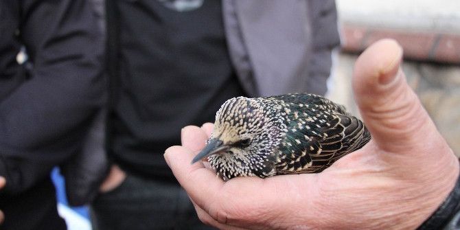 Fünye İle Patlatılan Şüpheli Çuvaldan Odun Çıktı