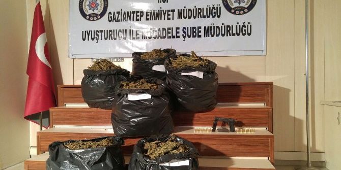 Bağ Evinde 60 Kilo Esrar Ele Geçirildi