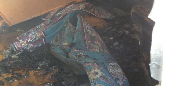 Burhaniye’de Korkutan Yangın