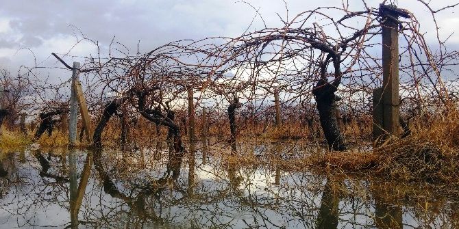 Bağlar Göle Döndü Üreticinin Yüzü Güldü