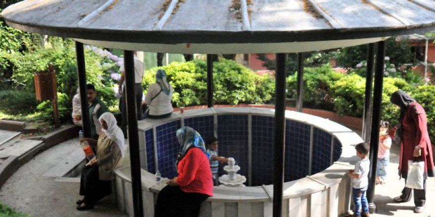 Her Derde Deva Mide Suyu’na Büyük İlgi