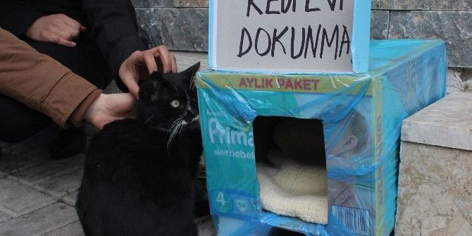 İki Esnafın Kedi Tartışması Bimer’e Taşındı