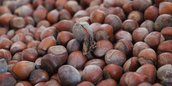 Fındık Yükselişe Geçti