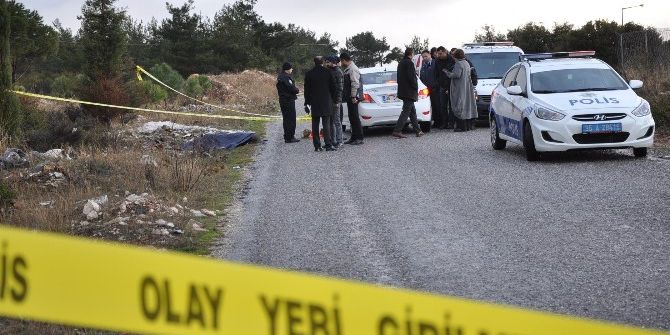 Döverek Öldürüp Ormanlık Alana Attılar