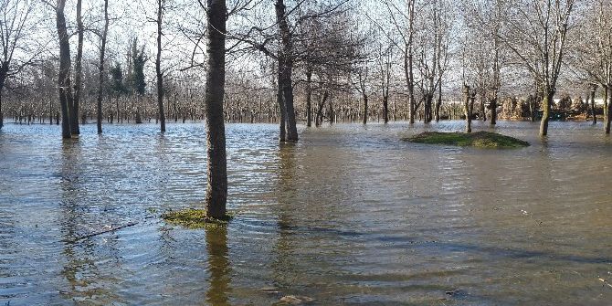 Bafra’da Yer Altı Suları Bahçe Ve Tarım Arazilerini Göle Çevirdi