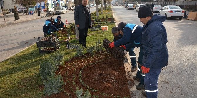 Kilis Belediyesi Tarafın 2017 Park Bahçe Yılı İlan Edildi