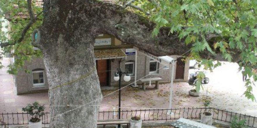 Sela Veren İmamı Böyle Darp Ettiler