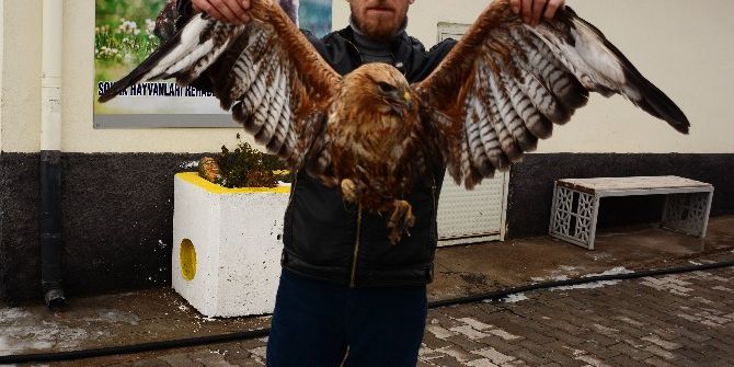Yaralı Şahine Aksaray Belediyesi Sahip Çıktı