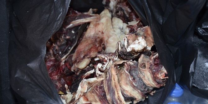 Siverek’te Zabıta Denetimlerinde Kaçak Et Ele Geçirildi