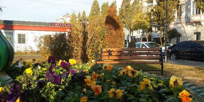 Gazeteci Barış Selçuk Parkı Çiçeklerle Renklendi