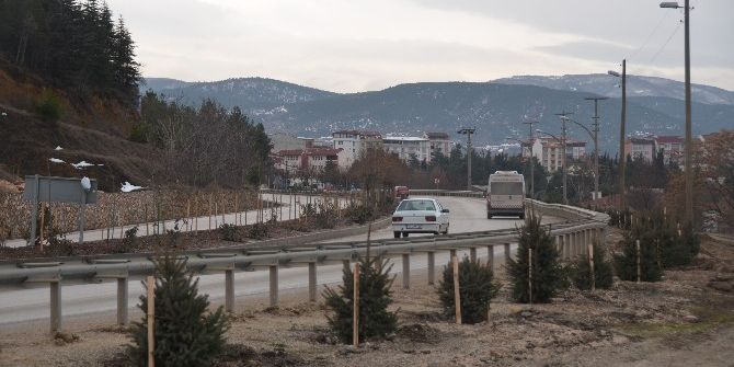 Yüzlerce Ağaç Fidanı Toprakla Buluştu