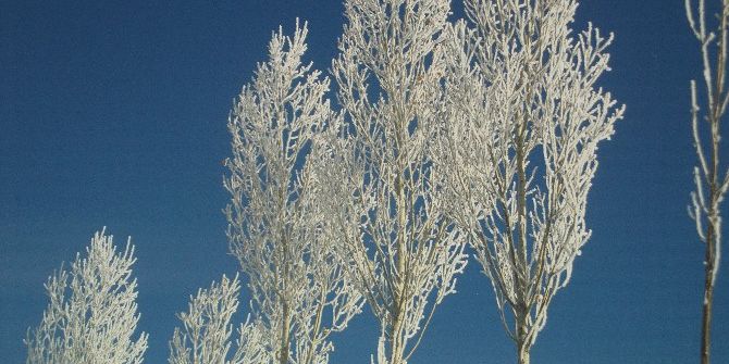 Özalp’ta Ağaçlar Dondu