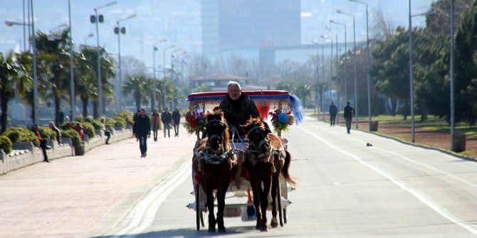 Samsun’da Yalancı Bahar