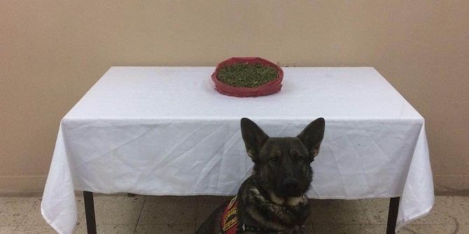 Yolcu Otobüsünde Esrar Ele Geçirildi