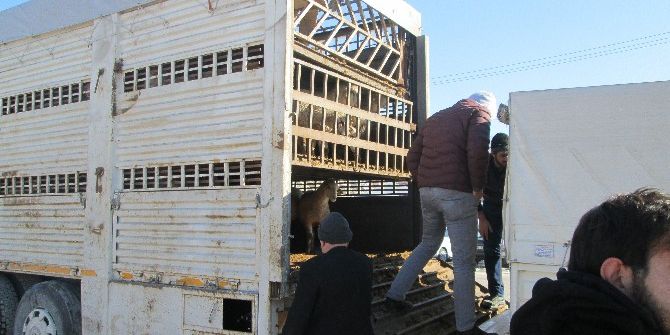 Genç Çiftçilere Destek Sürüyor