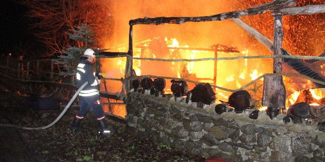 At Çiftliği Alev Alev Yandı, İşyeri Sahibi Gözyaşlarına Boğuldu