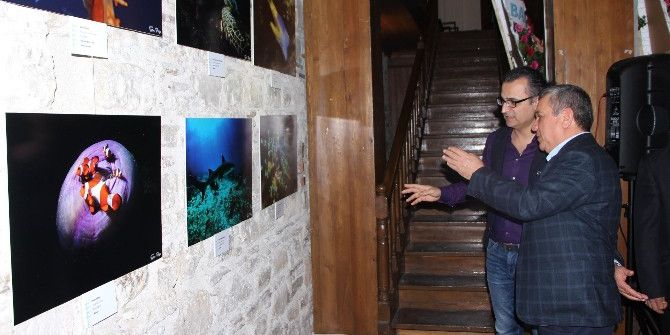Kuşadası’nda Su Altı Fotoğrafları Sergisi Açıldı