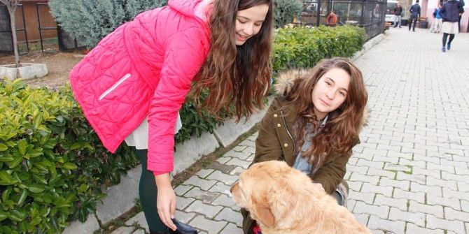 Öğrencilerden Hayvan Barınağına Ziyaret