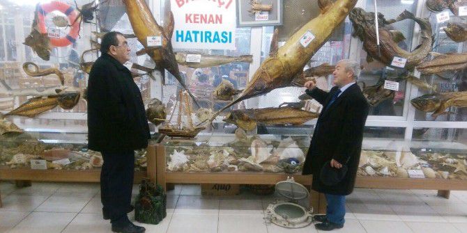 Kaymakam Okur: “Türkiye Deniz Canlıları Müzesi’ni Dünya Bilmeli”