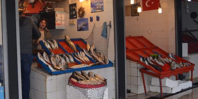 Karadeniz’de Bugünlerde Balık Avı Azalınca Vatandaş Kültür Balığına Yöneldi