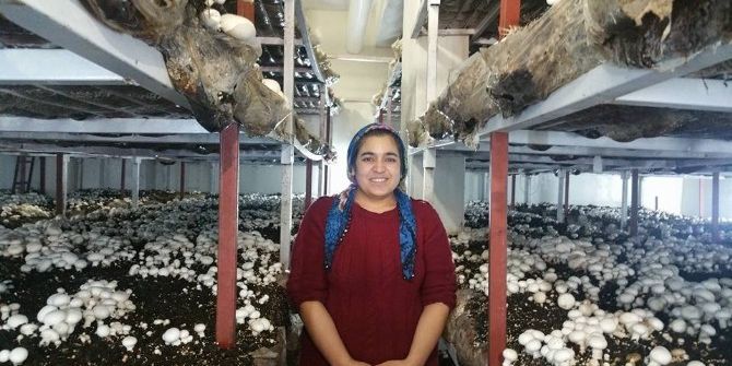 Kadıoğlu, Kültür Mantarı Tesisini Ziyaret Etti