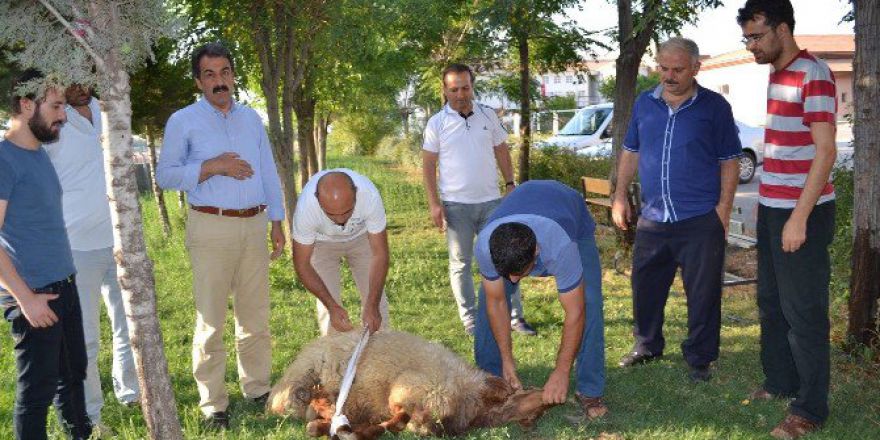 Püskürtülen Darbe İçin Kurban Kestiler