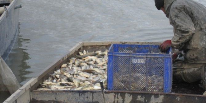 Elazığ’da 200 Kilogram Kaçak Balık Yakalandı