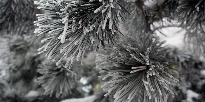 Ağrı’da Kartpostallık Manzaralar