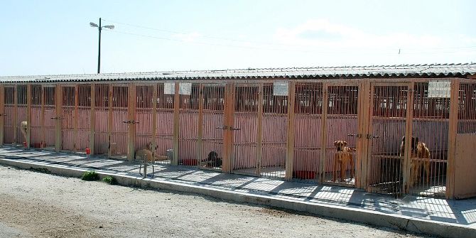 Büyükşehir’den Sahipsiz Hayvanlar İçin Merhamet Yuvası