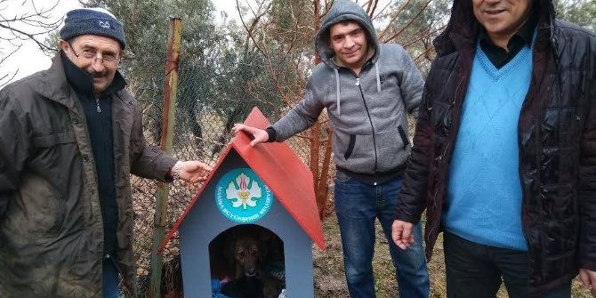 Yavru Köpeklere Kulübe Desteği