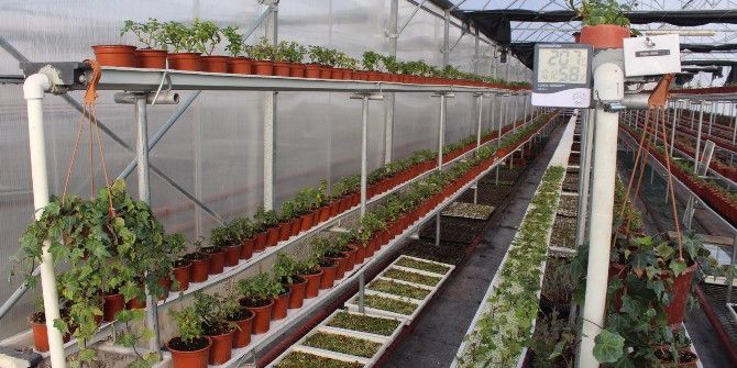 Gölbaşı Belediyesi Serasında Yaza Hazırlık